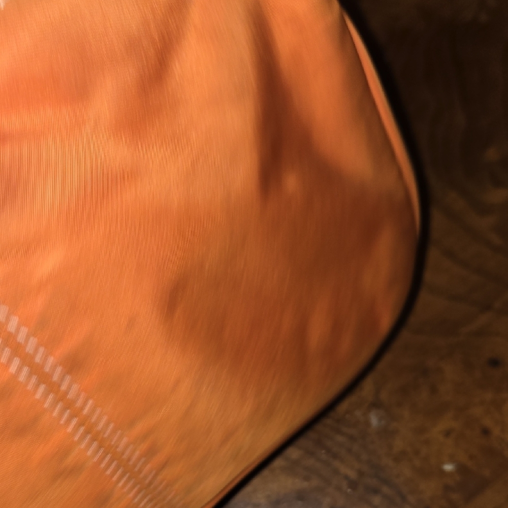 Dooney & Bourke Vibrant Orange Bag - Picture 8 of 8